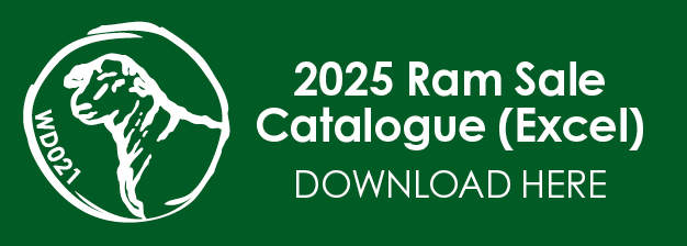 Excel Catalogue