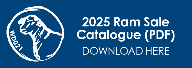 PDF Catalogue
